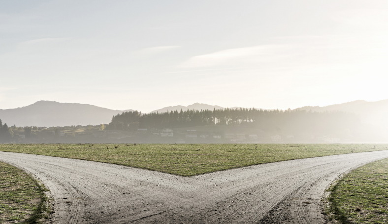 Roads Not Yet Explored: Routes to a Final Say