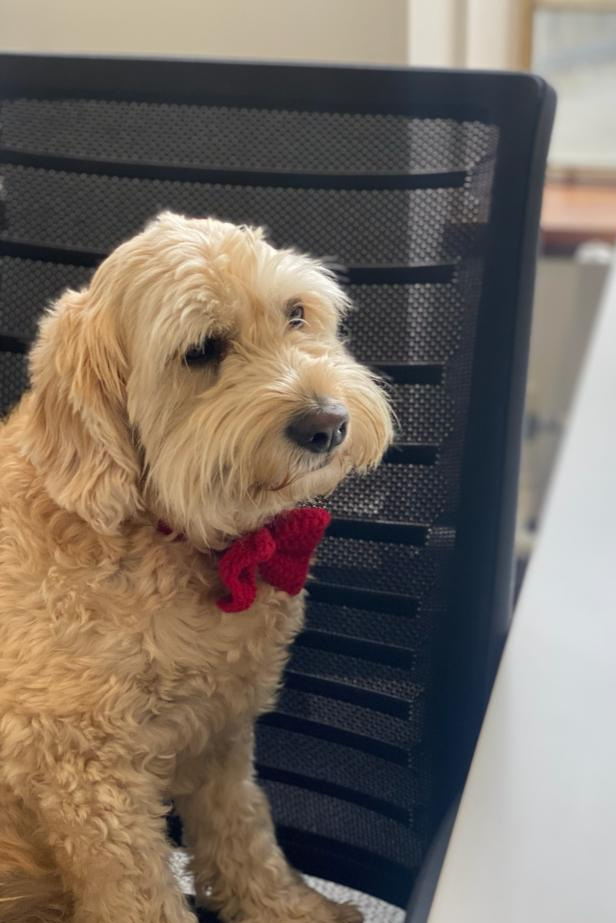 Profile picture of Wrigley