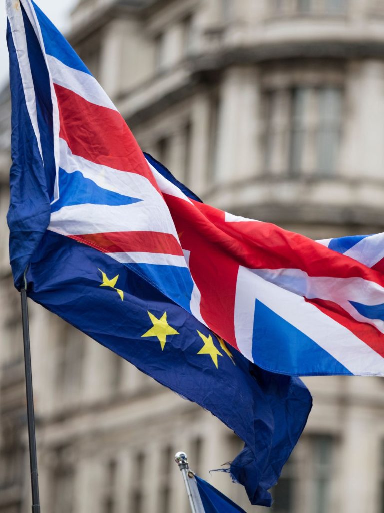 New mega-poll reveals voter’s desire for stronger EU-UK ties and dismay at Rishi Sunak